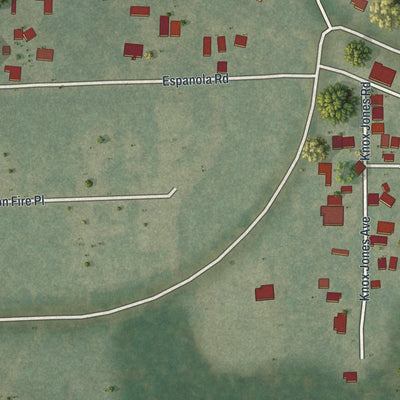 Close-up of the map of Espanola, Florida print showing street and building detail