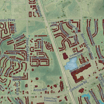 Close-up 1 of the Estero, Florida map artwork