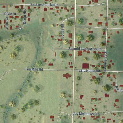 Close-up 1 of the Esto, Florida map artwork