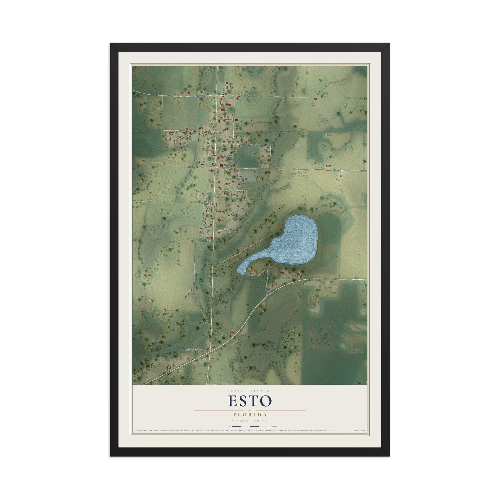 Esto, Florida map print, 12" x 18" W/ Black Ayous Wood Frame mockup