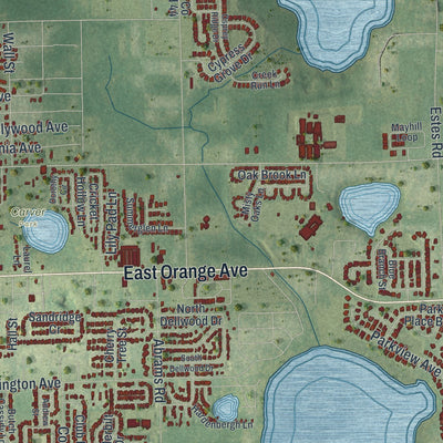 Close-up 2 of the Eustis, Florida map artwork