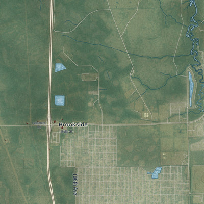 Close-up 2 of the Fellsmere, Florida map artwork