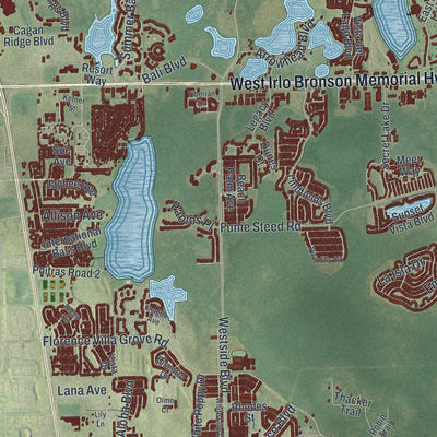 Close-up of the map of Four Corners, Florida print showing street and building detail