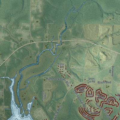 Close-up 2 of the Freeport, Florida map artwork
