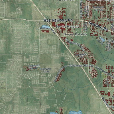 Close-up 2 of the Gainesville, Florida map artwork