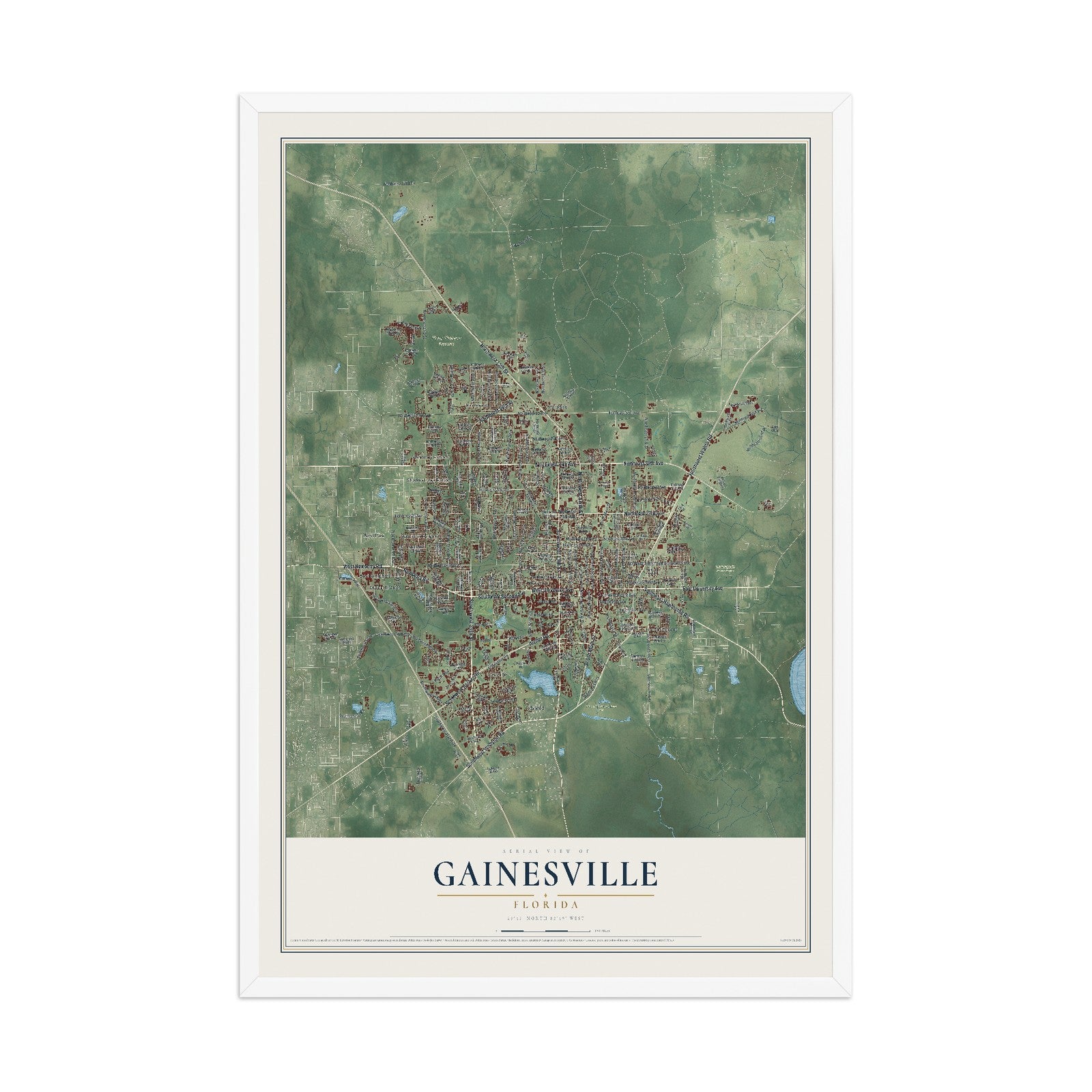 Gainesville, Florida map print, 12" x 18" W/ White Ayous Wood Frame mockup