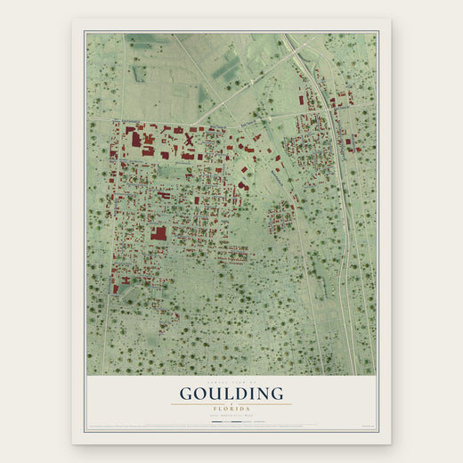 Goulding, Florida map print, the full design