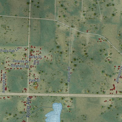 Close-up 1 of the Grand Ridge, Florida map artwork
