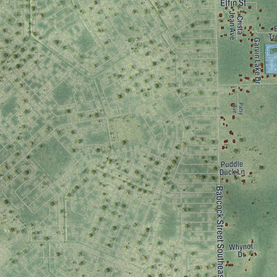 Close-up 2 of the Grant-Valkaria, Florida map artwork