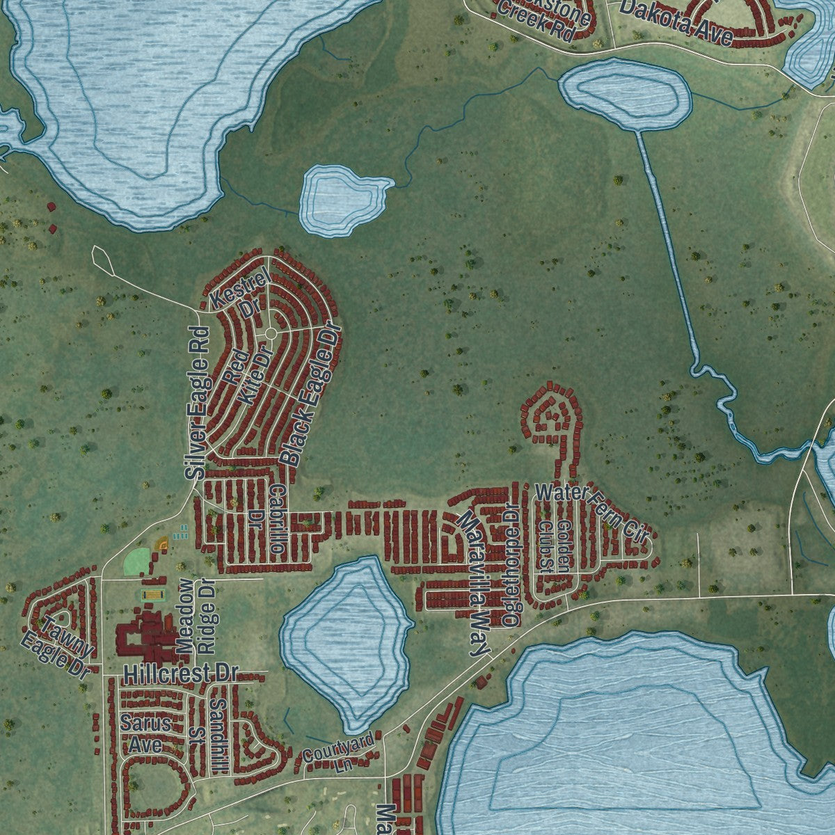 Close-up 2 of the Groveland, Florida map artwork