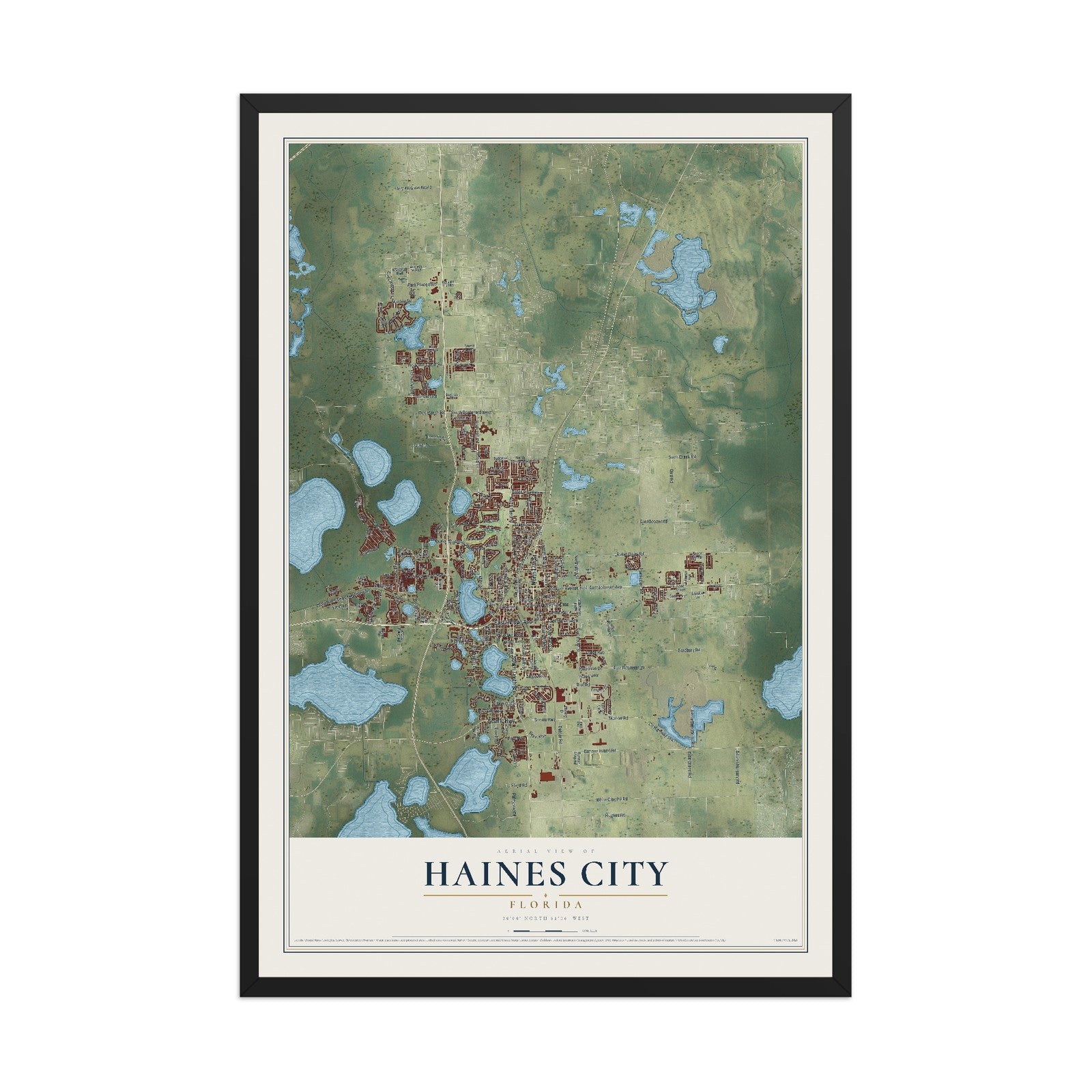 Haines City, Florida map print, 12" x 18" W/ Black Ayous Wood Frame mockup