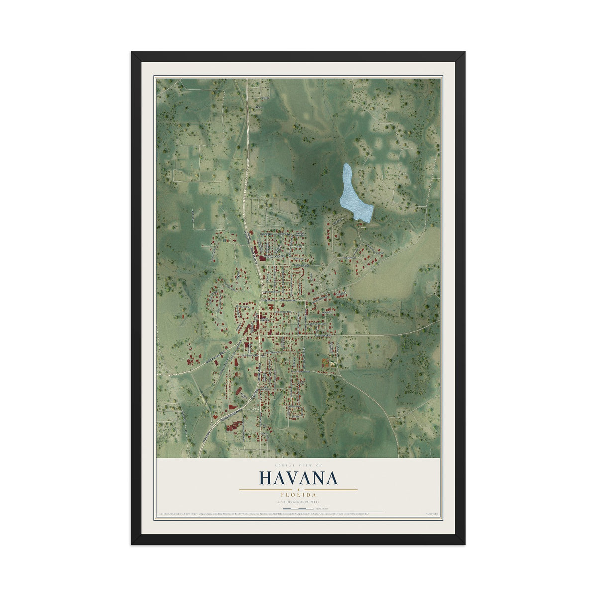 Havana, Florida map print, 12" x 18" W/ Black Ayous Wood Frame mockup