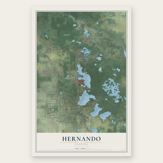 Hernando, Florida map print, the full design