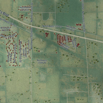 Close-up 2 of the High Springs, Florida map artwork