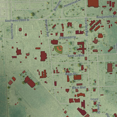 Close-up of the map of Homestead Base, Florida print showing street and building detail