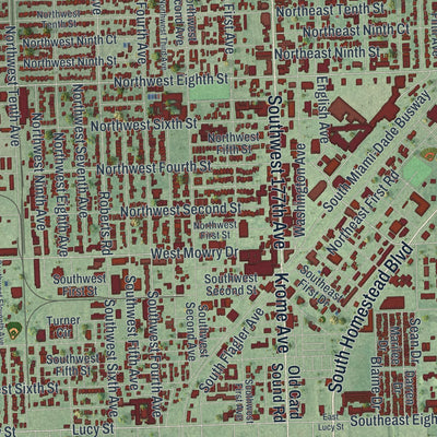 Close-up 1 of the Homestead, Florida map artwork