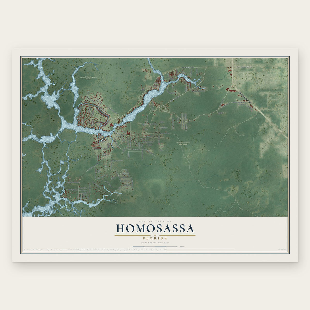 Homosassa, Florida map print, the full design