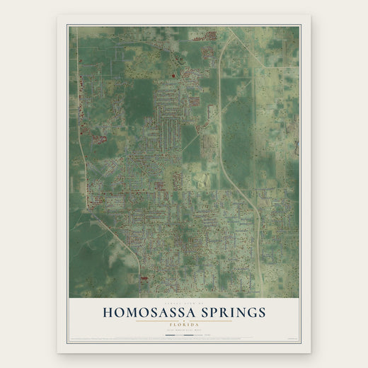 Homosassa Springs, Florida map print, the full design