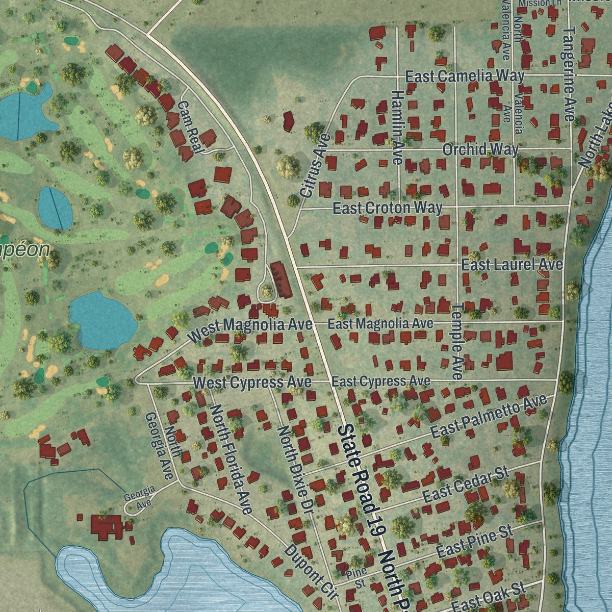 Close-up 1 of the Howey-in-the-Hills, Florida map artwork