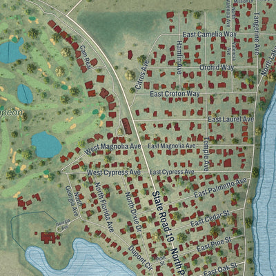 Close-up 1 of the Howey-in-the-Hills, Florida map artwork