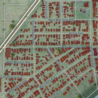 Close-up of the map of Hyde Park, Florida print showing street and building detail