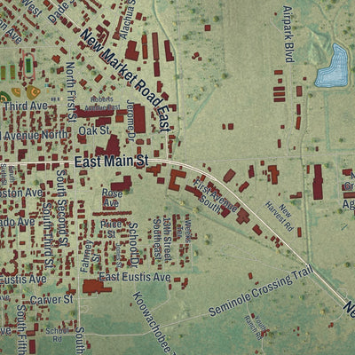 Close-up 2 of the Immokalee, Florida map artwork