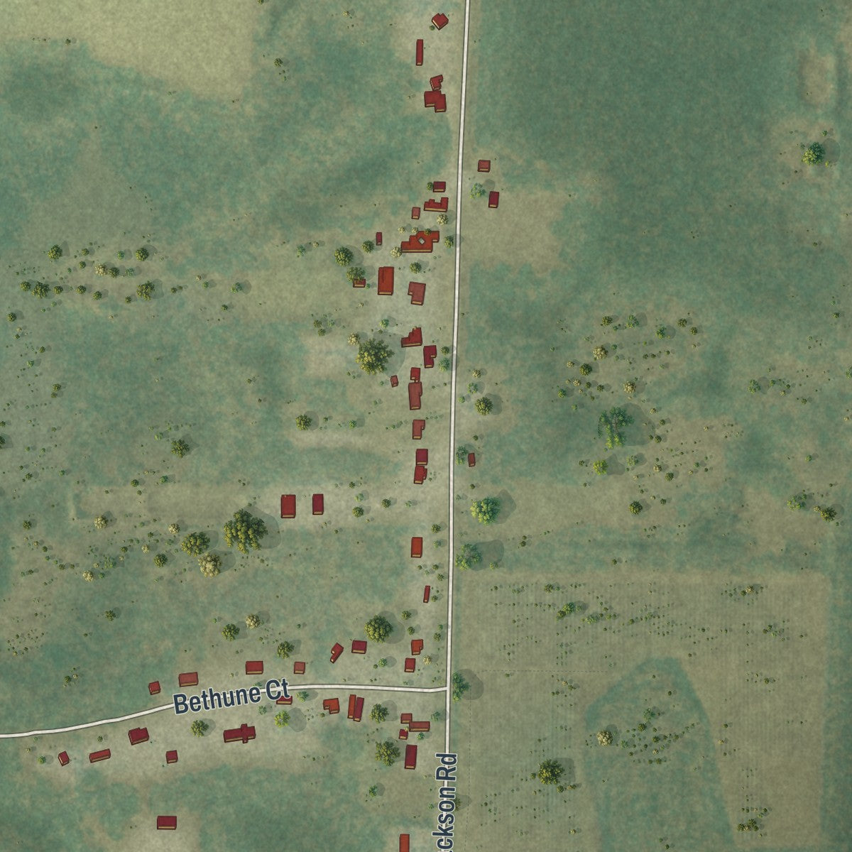 Close-up 2 of the Jacob City, Florida map artwork