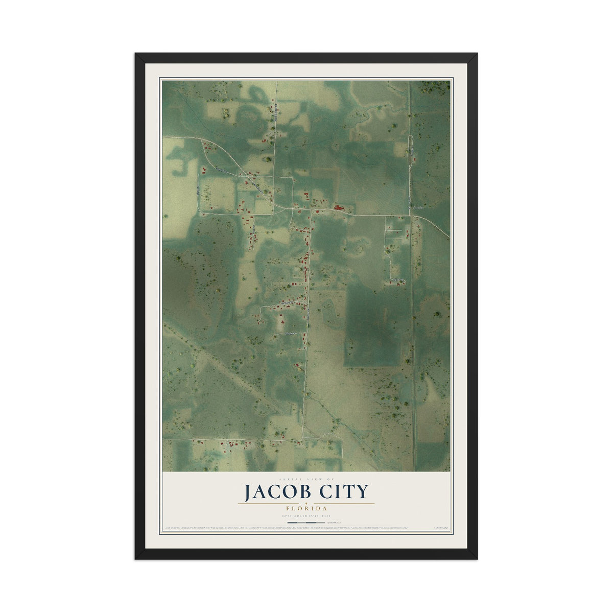 Jacob City, Florida map print, 12" x 18" W/ Black Ayous Wood Frame mockup