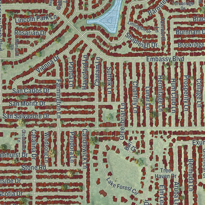 Close-up of the map of Jasmine Estates, Florida print showing street and building detail