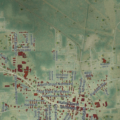 Close-up 1 of the Jasper, Florida map artwork