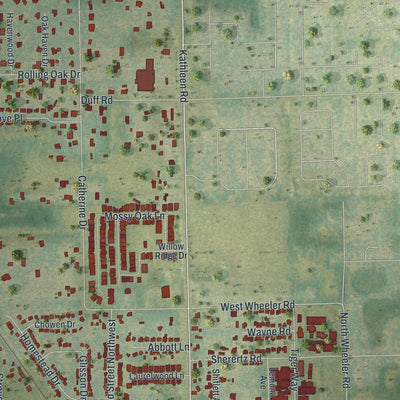 Close-up of the map of Kathleen, Florida print showing street and building detail