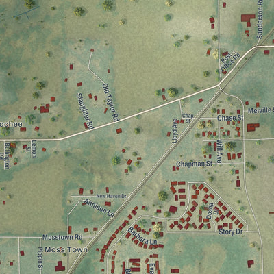 Close-up of the map of Lacoochee, Florida print showing street and building detail
