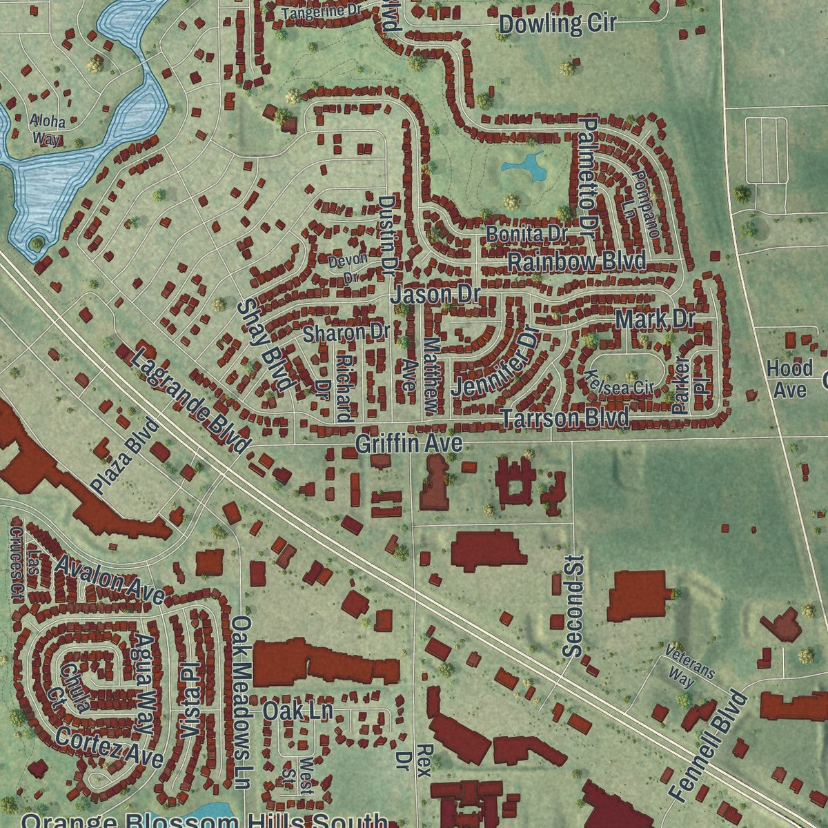 Close-up 1 of the Lady Lake, Florida map artwork