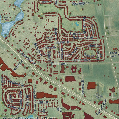Close-up 1 of the Lady Lake, Florida map artwork
