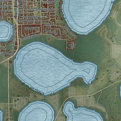 Close-up 2 of the Lake Alfred, Florida map artwork