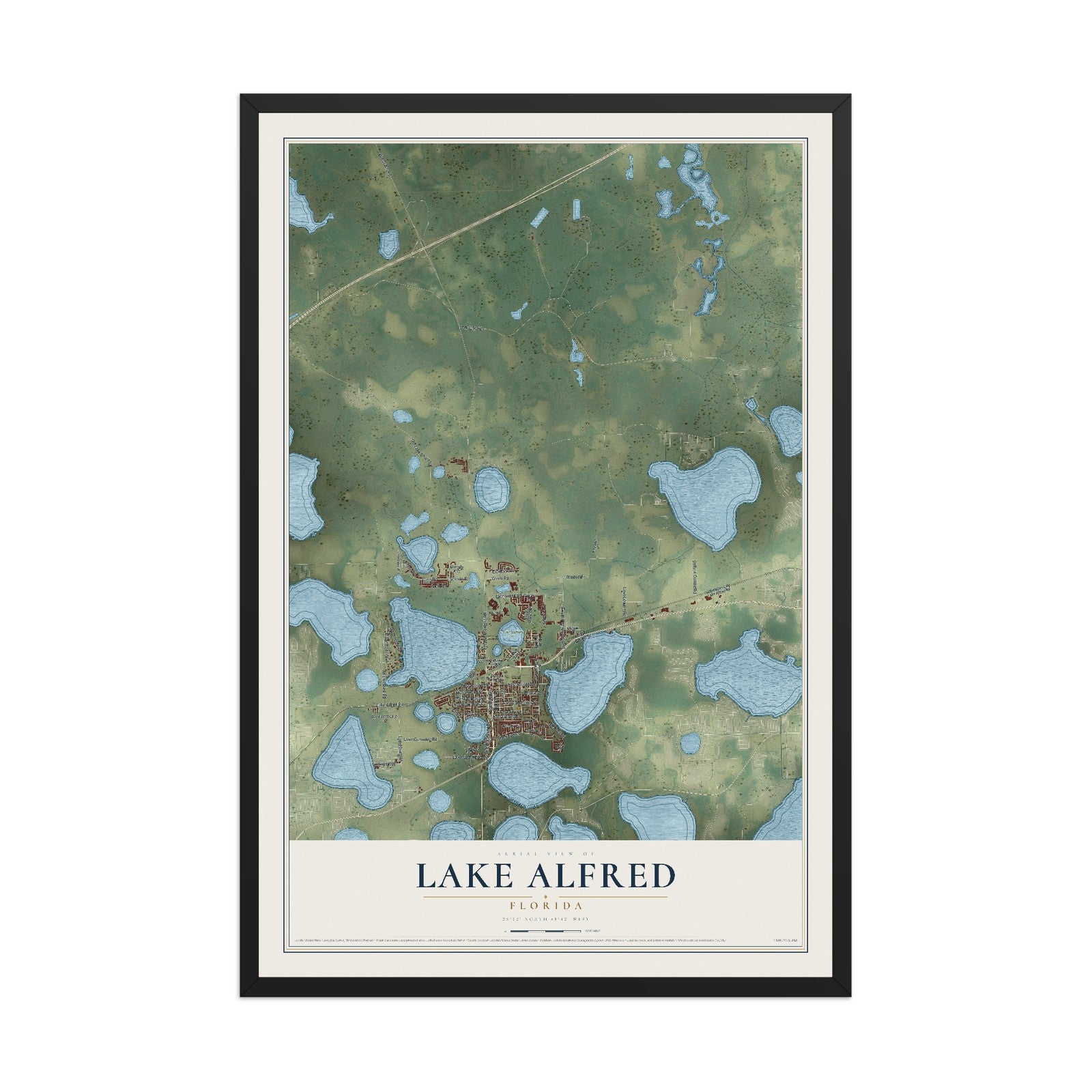 Lake Alfred, Florida map print, 12" x 18" W/ Black Ayous Wood Frame mockup