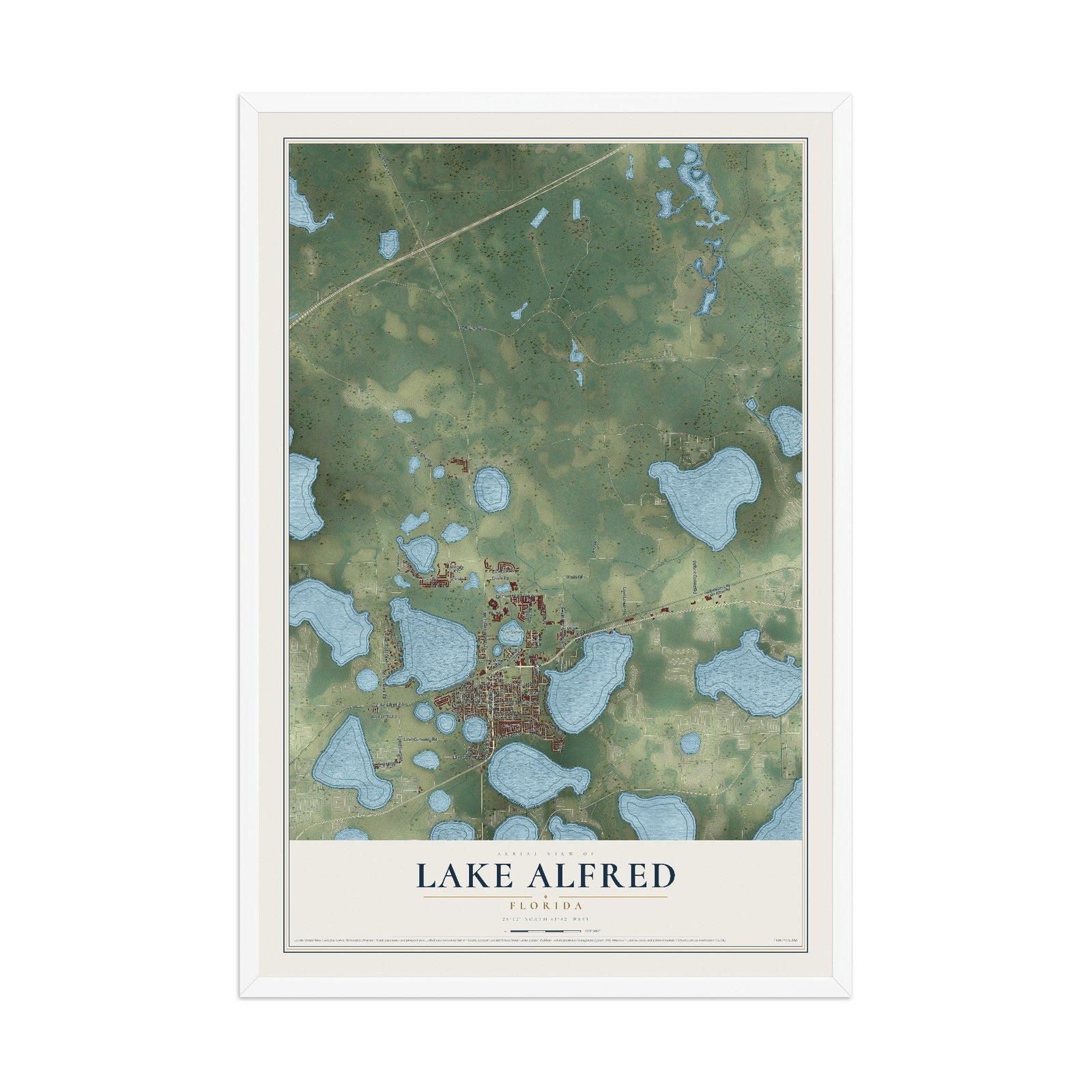 Lake Alfred, Florida map print, 12" x 18" W/ White Ayous Wood Frame mockup