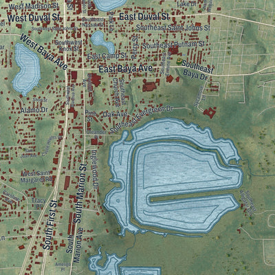 Close-up 1 of the Lake City, Florida map artwork