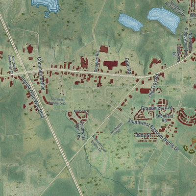 Close-up 2 of the Lake City, Florida map artwork