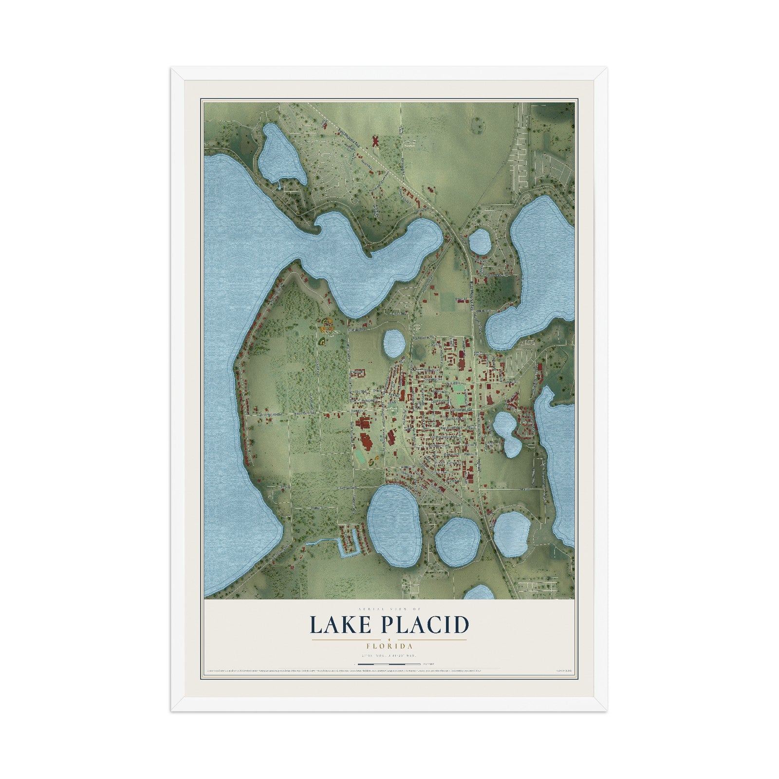 Lake Placid, Florida map print, 12" x 18" W/ White Ayous Wood Frame mockup