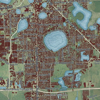 Close-up 1 of the Lakeland, Florida map artwork