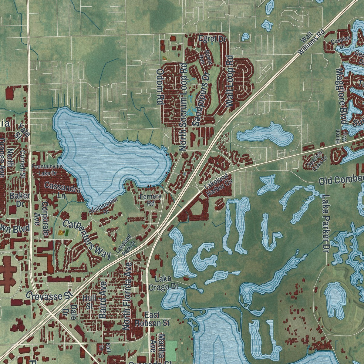 Close-up 2 of the Lakeland, Florida map artwork