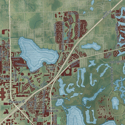 Close-up 2 of the Lakeland, Florida map artwork
