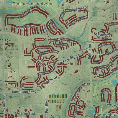Close-up 2 of the Lakewood Ranch, Florida map artwork