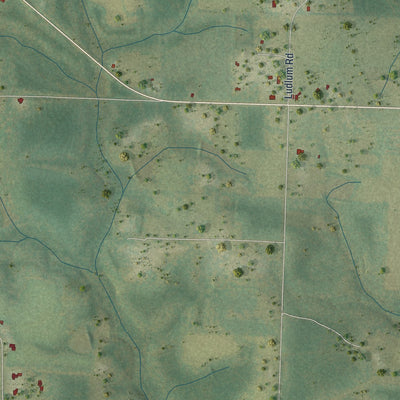 Close-up 2 of the Laurel Hill, Florida map artwork