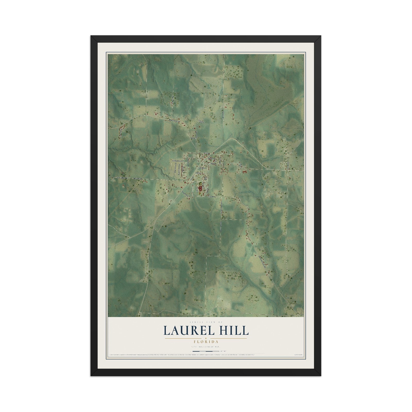 Laurel Hill, Florida map print, 12" x 18" W/ Black Ayous Wood Frame mockup