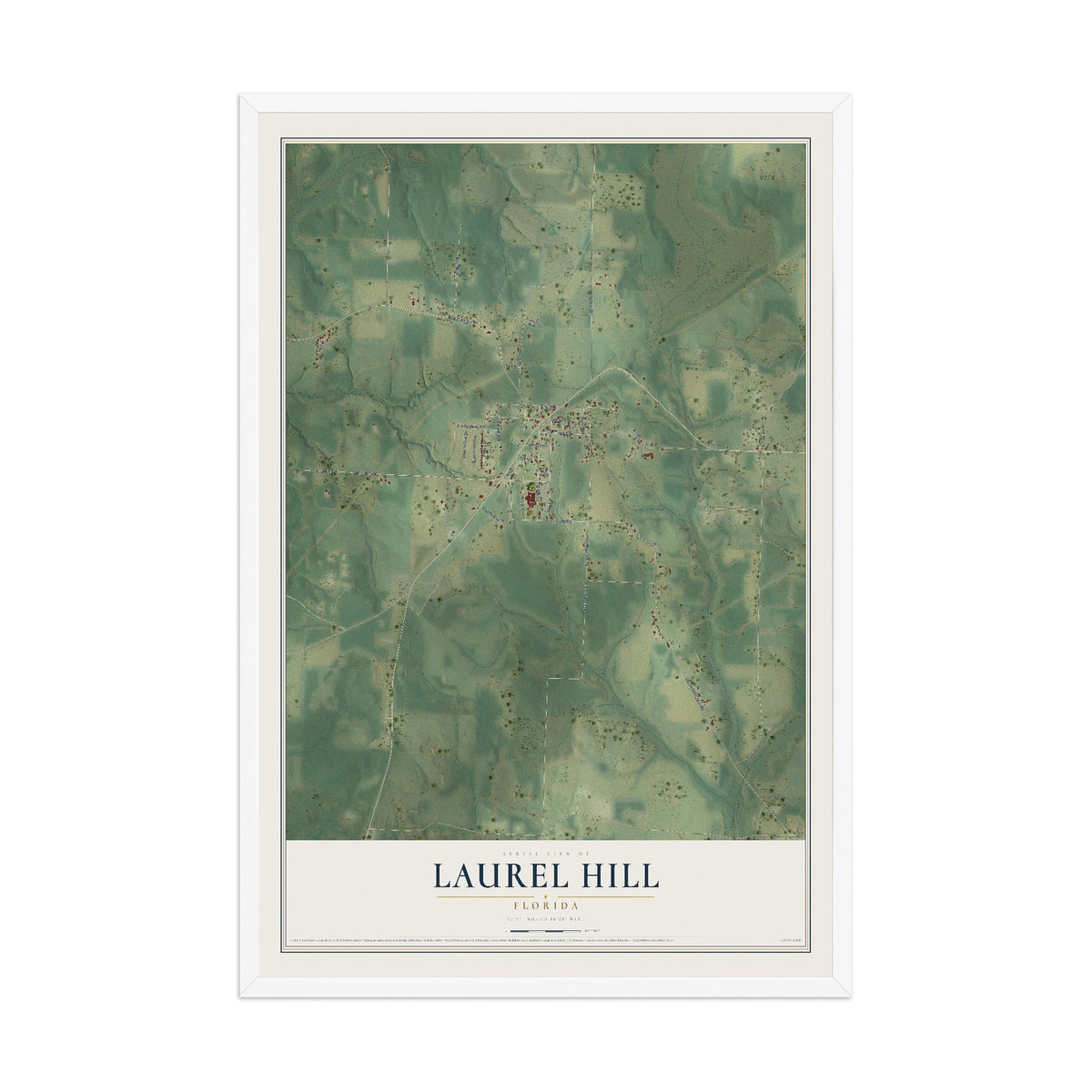 Laurel Hill, Florida map print, 12" x 18" W/ White Ayous Wood Frame mockup