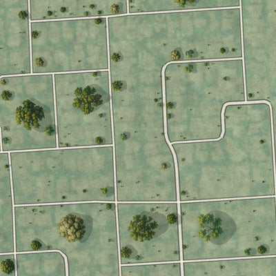 Close-up 2 of the Lazy Lake, Florida map artwork