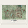 Lealman, Florida map print, the full design