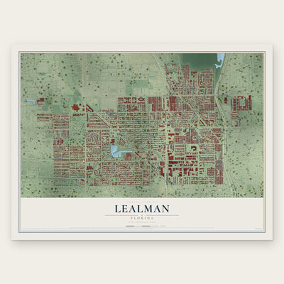 Lealman, Florida map print, the full design